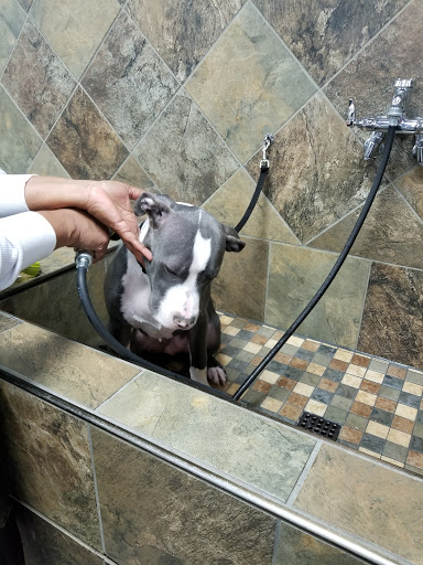 Pet Supply Store «Pet Valu», reviews and photos, 1601 Willow Lawn Dr #301C, Richmond, VA 23230, USA