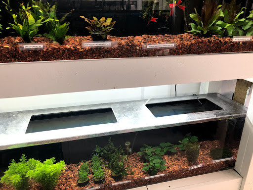 Pet Store «Pet Town», reviews and photos, 7804 Florence Ave, Downey, CA 90240, USA