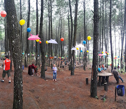 Perhutani Precet Lereng Gunung Kawi photo