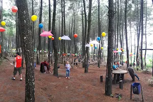 Precet Forest Park image