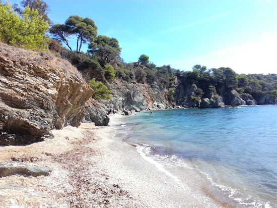 Plage des Darboussieres