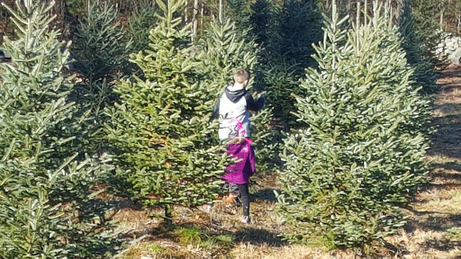 Farm «Vandervalk Farm & Winery», reviews and photos, 25 Lovell St, Mendon, MA 01756, USA