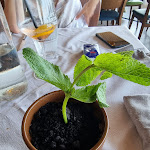 Photo n°3 de l'avis de Panfilo.o fait le 18/06/2023 à 14:38 sur le  Vecchio Mulino Beach à Peschiera del Garda