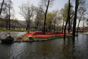 Hasbahçe Picnic Area image