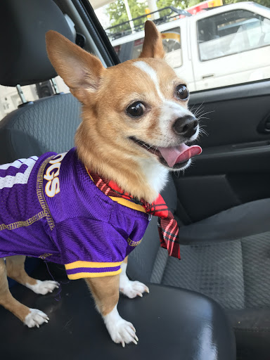 Pharmacy «Key Compounding Pharmacy», reviews and photos, 530 S 336th St, Federal Way, WA 98003, USA