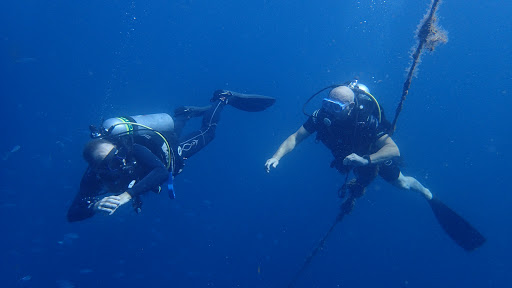 Tropical Sea divers