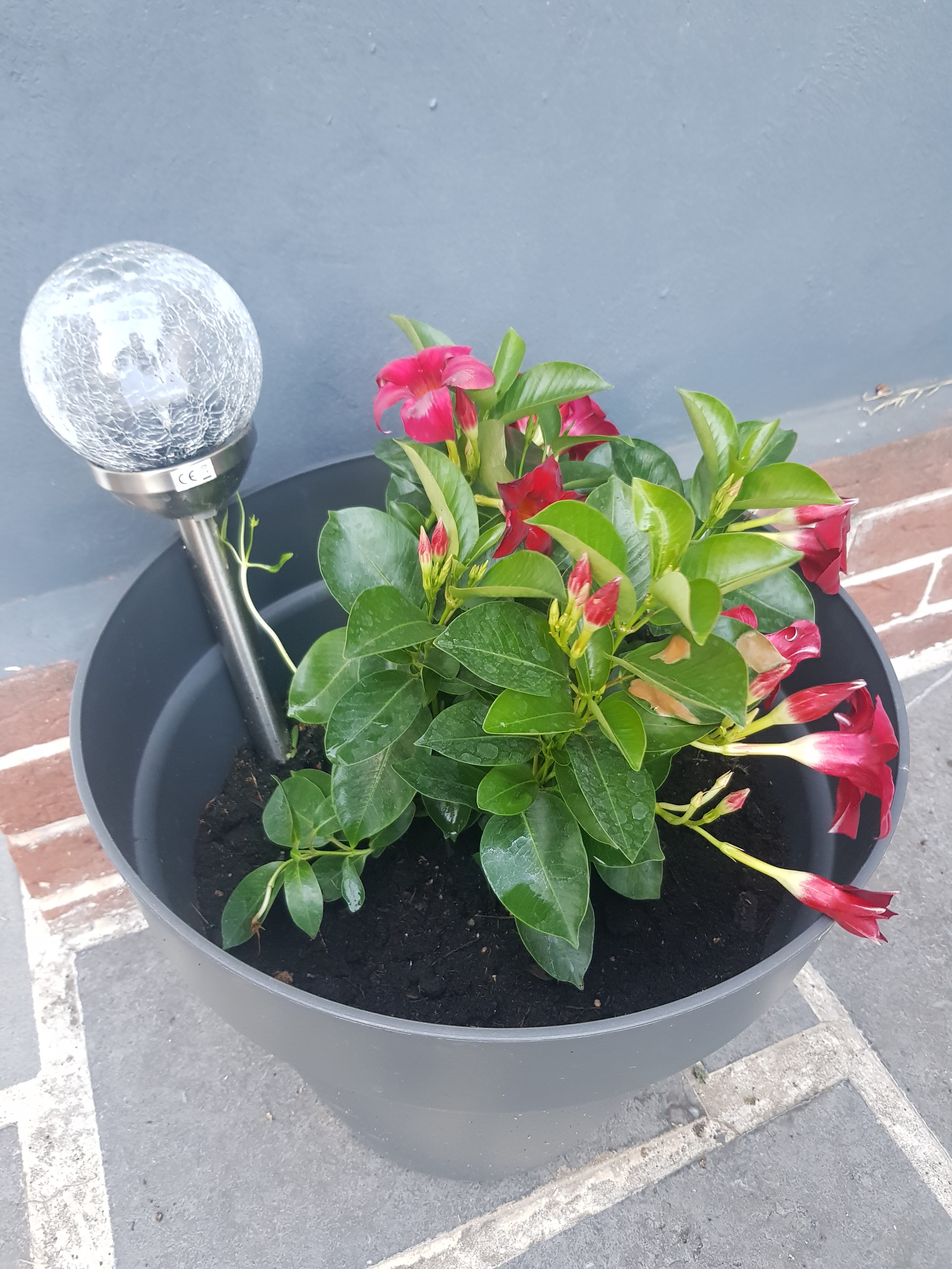 Photo n° 1 de l'avis de Alexandra.o fait le 01/07/2019 à 19:28