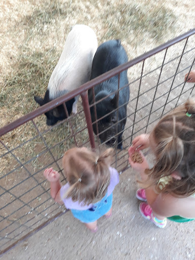 Zoo «Petting Zoo», reviews and photos, 829 E Exchange Ave, Fort Worth, TX 76164, USA
