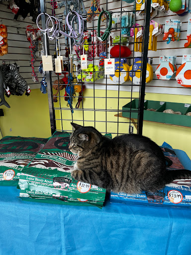 Pet Supply Store «Urban Tails Pet Supply», reviews and photos, 2106 Lyndale Ave S, Minneapolis, MN 55405, USA