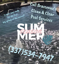 BRASSEAUX’S Clean & Clear Pool Services - Photo 5 - Car repair in Abbeville, LA, Lafayette