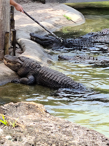 Sporting Goods Store «Bass Pro Shops», reviews and photos, 750 Bass Pro Dr NE, Palm Bay, FL 32905, USA
