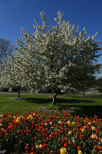 Arboretum «Orange County Arboretum», reviews and photos, 211 NY-416, Montgomery, NY 12549, USA