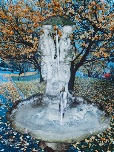 Fountain House Group Home