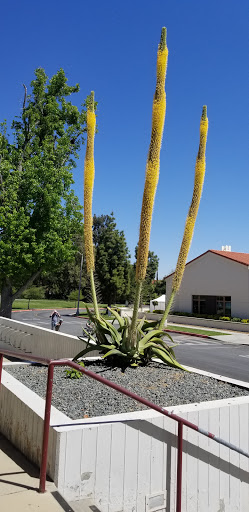 Book Store «Huntley Bookstore of the Claremont Colleges», reviews and photos, 175 E 8th St, Claremont, CA 91711, USA