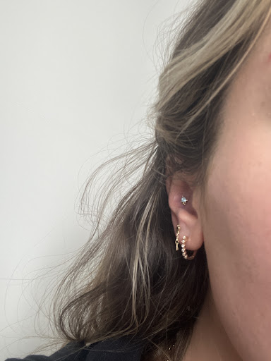 Explore tasmanian devil tattoo ideas, creative tattoo ideas in Tampa, available at Bloom Body Art - Tampa