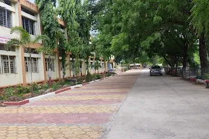 Vaidyanath College image