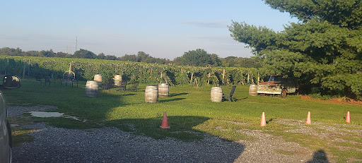 Winery «Cedarvale Winery», reviews and photos, 205 Repaupo Station Rd, Swedesboro, NJ 08085, USA