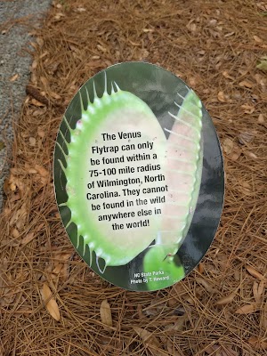 Stanley Rehder Carnivorous Plant Garden at Piney Ridge Nature Preserve - Wilmington - photo 7