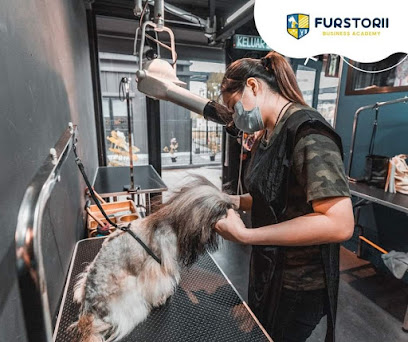 FURSTORII PET GROOMING BUSINESS ACADEMY & SCHOOL 专业宠物美容培训课程商学院