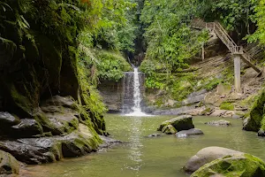 Waterfalls Pishurayacu image