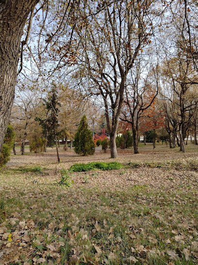 Ağaç Park
