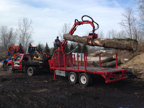  alt='BRONGO’s TREE SERVICE EXCEEDED ALL EXPECTATIONS. They removed a large oak tree in the rear of our house in less than 8'