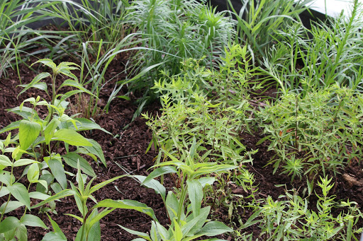 Insulation Contractor «Ciel Power LLC», reviews and photos