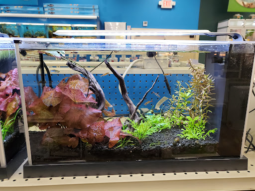 Pet Supply Store «Pet Supermarket», reviews and photos, 835 Blanding Blvd, Orange Park, FL 32065, USA