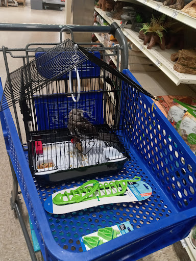 Pet Supply Store «PetSmart», reviews and photos, 916 Loganville Hwy, Bethlehem, GA 30620, USA