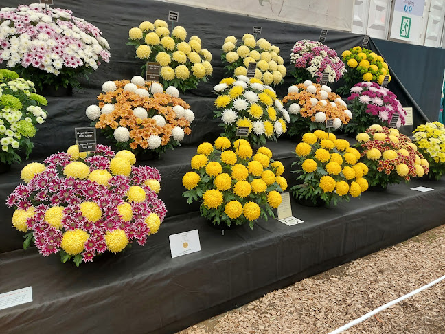 Chelsea flower showgrounds, Royal Horticultural Society - Other
