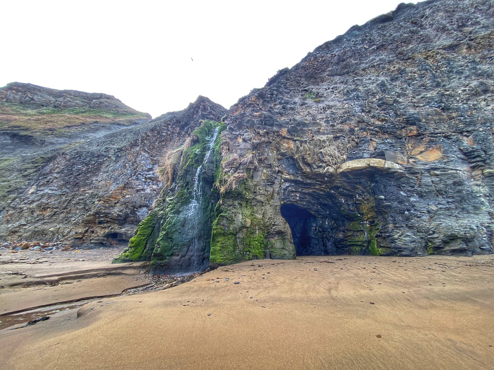 Foto de Playa de Kettleness con muy limpio nivel de limpieza