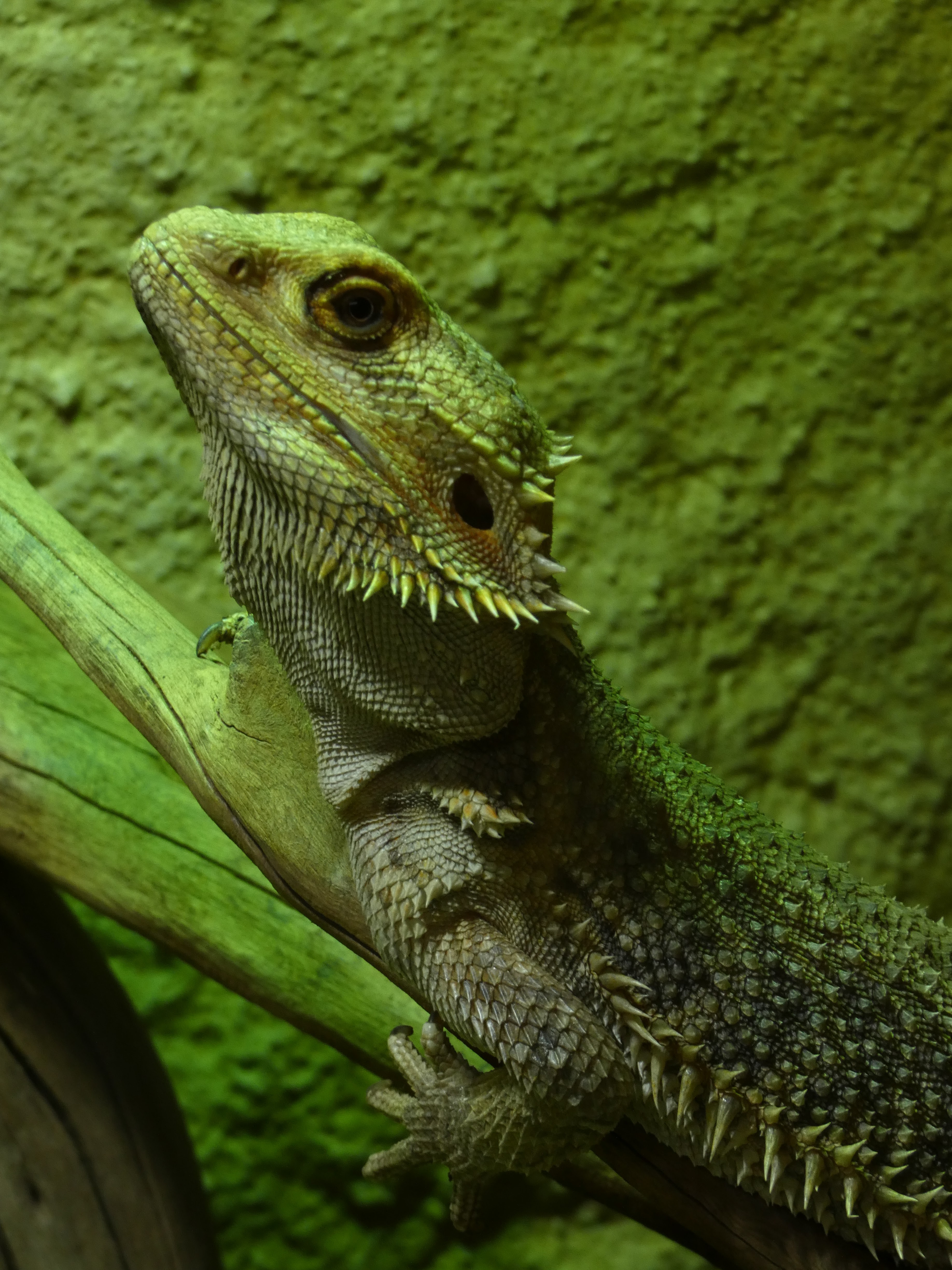 Photo n° 9 de l'avis de Matthieu.l fait le 06/06/2022 à 09:07