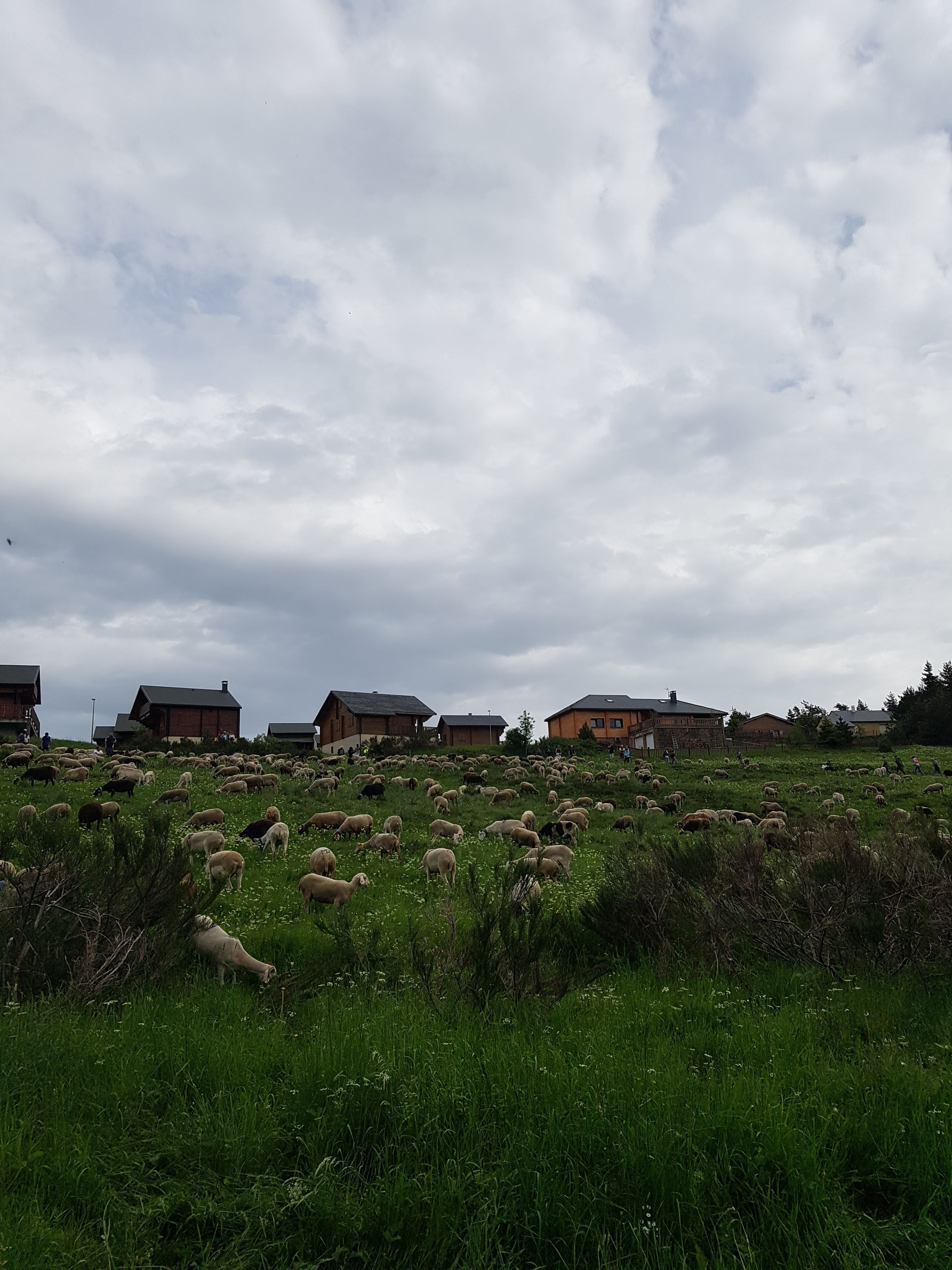 Photo n° 10 de l'avis de Valou.O fait le 11/08/2018 à 16:07