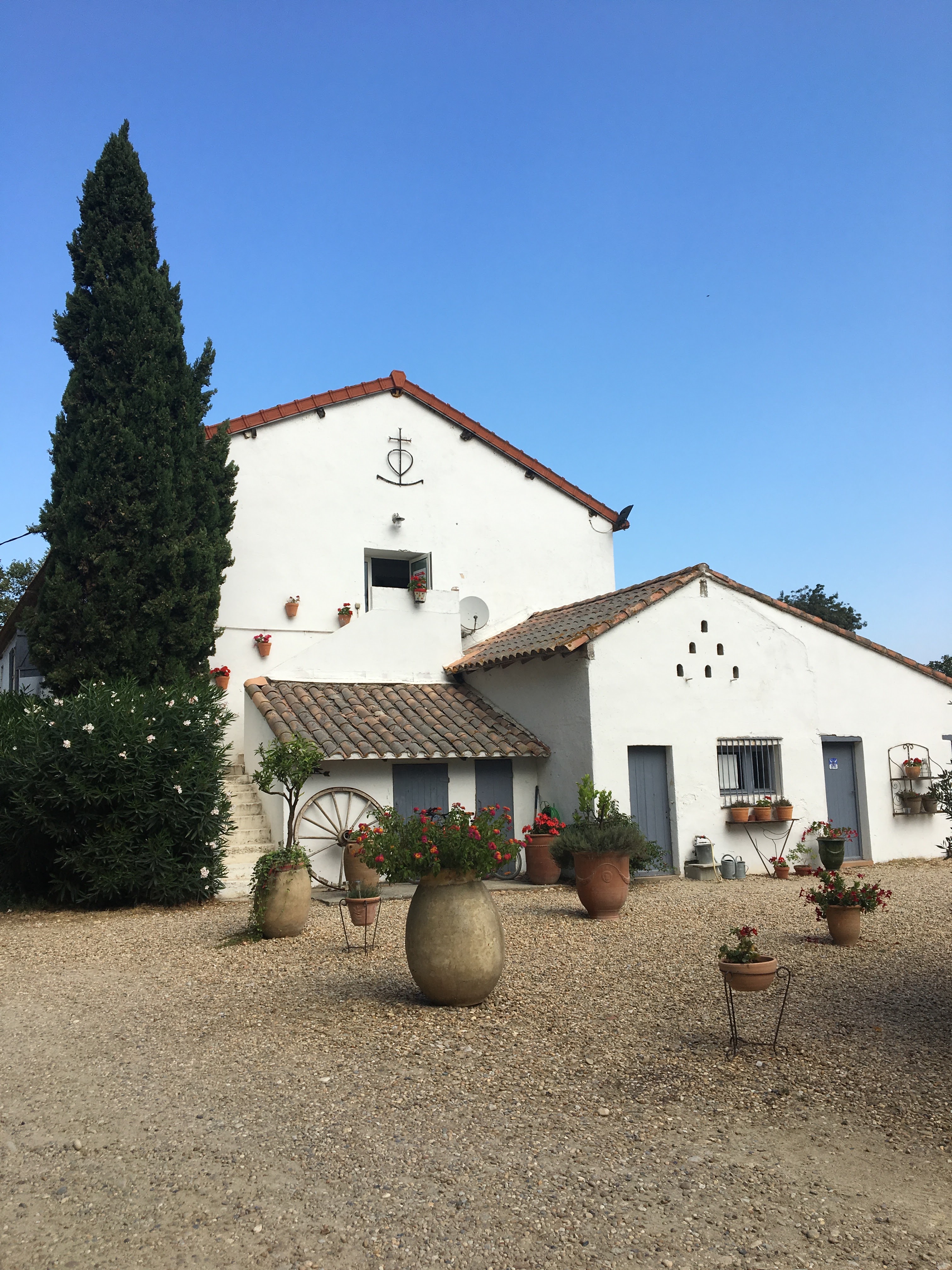 Photo n° 5 de l'avis de Andrea.i fait le 29/08/2019 à 21:59