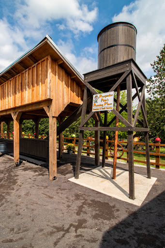 Campground «Herkimer Diamond KOA Resort», reviews and photos, 4626 NY-28, Herkimer, NY 13350, USA