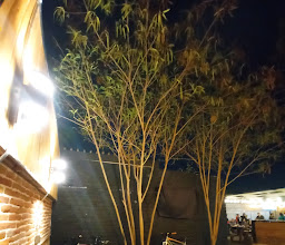 Patio centenario photo