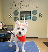 Doggone Classy - Photo 1 - Car repair in Mauldin, SC, Mauldin