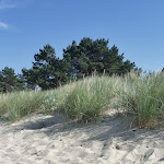 Photo n°5 de l'avis de Torte. fait le 30/01/2022 à 15:19 sur le  Hotel Dünenschloß à Zinnowitz