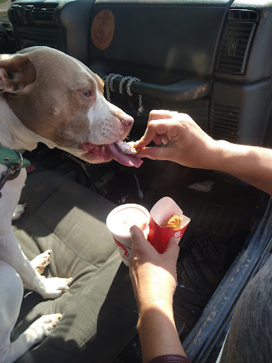 Shopping Mall «Lakeshore Crossing Shopping Center», reviews and photos, 410 Shallowford Rd, Gainesville, GA 30504, USA