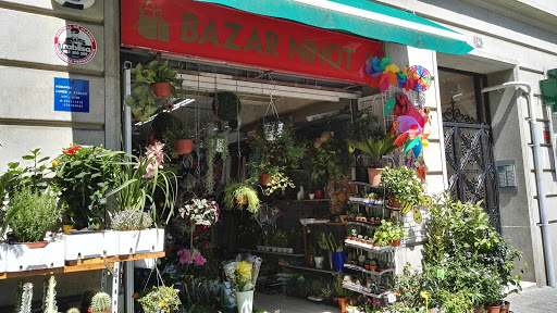 Bazar Ninot