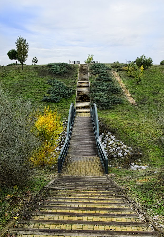Pinar de Valdelatas