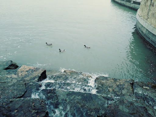 Movie Theater «Cinemark 12 Rockwall», reviews and photos, 2125 Summer Lee Dr, Rockwall, TX 75032, USA