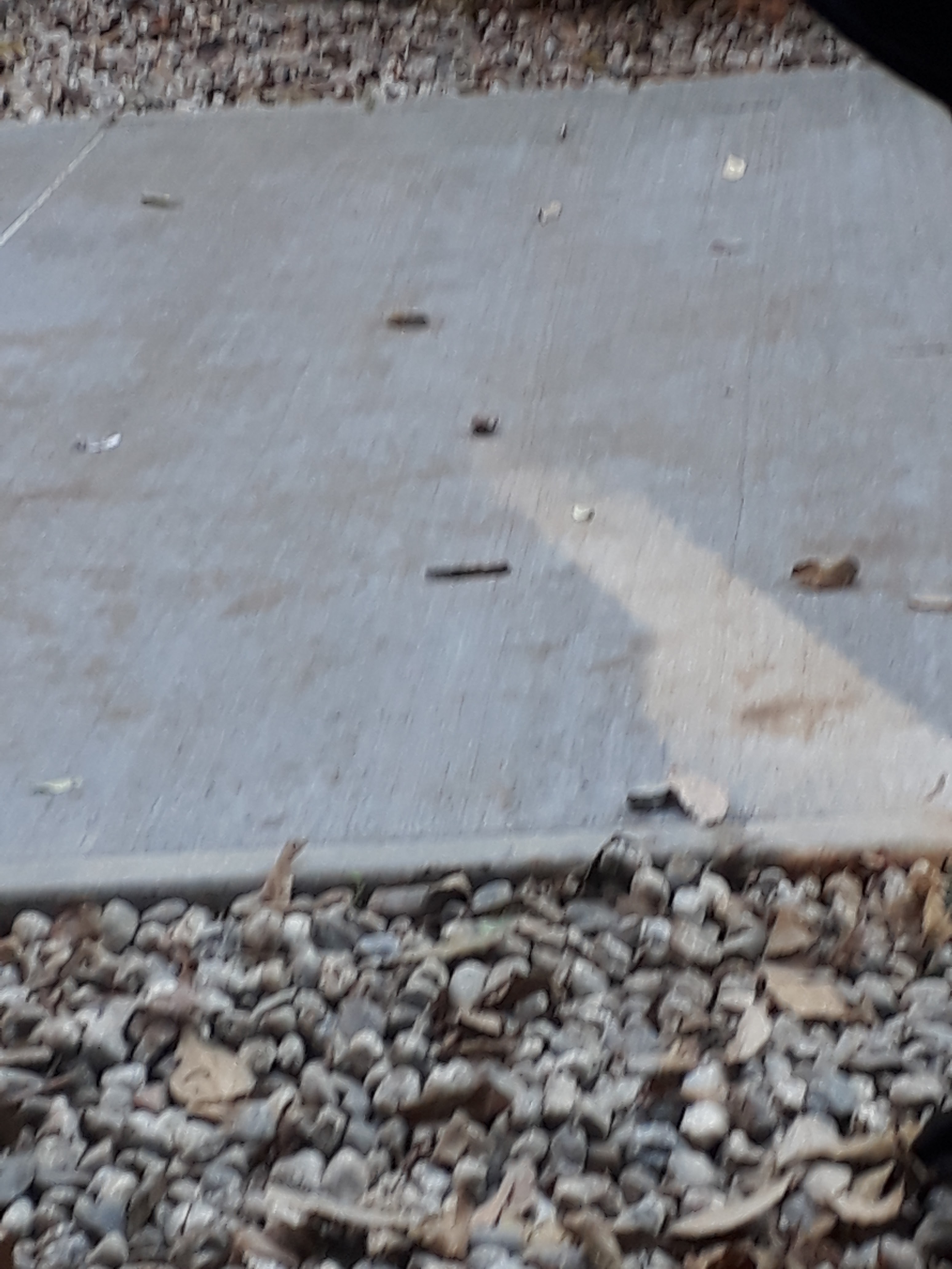 Photo n° 42 de l'avis de William.m fait le 11/12/2018 à 12:09