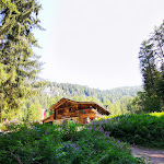 Photo n°1 de l'avis de Beate.r fait le 12/08/2022 à 16:38 sur le  Schafstall - Hütte à Kastelruth