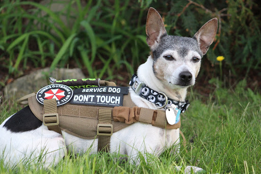 2060 Niagara Falls Blvd, Tonawanda, NY 14150, USA