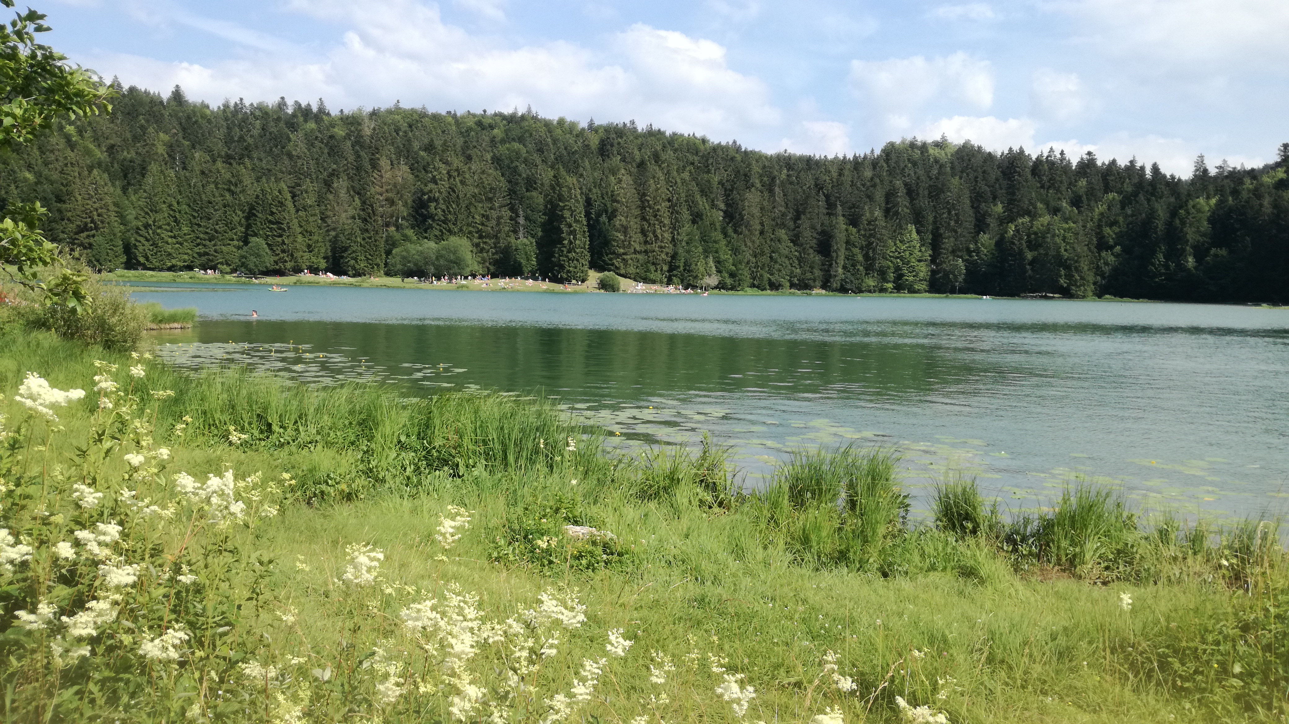 Photo n° 6 de l'avis de Coralie.o fait le 20/07/2018 à 06:31