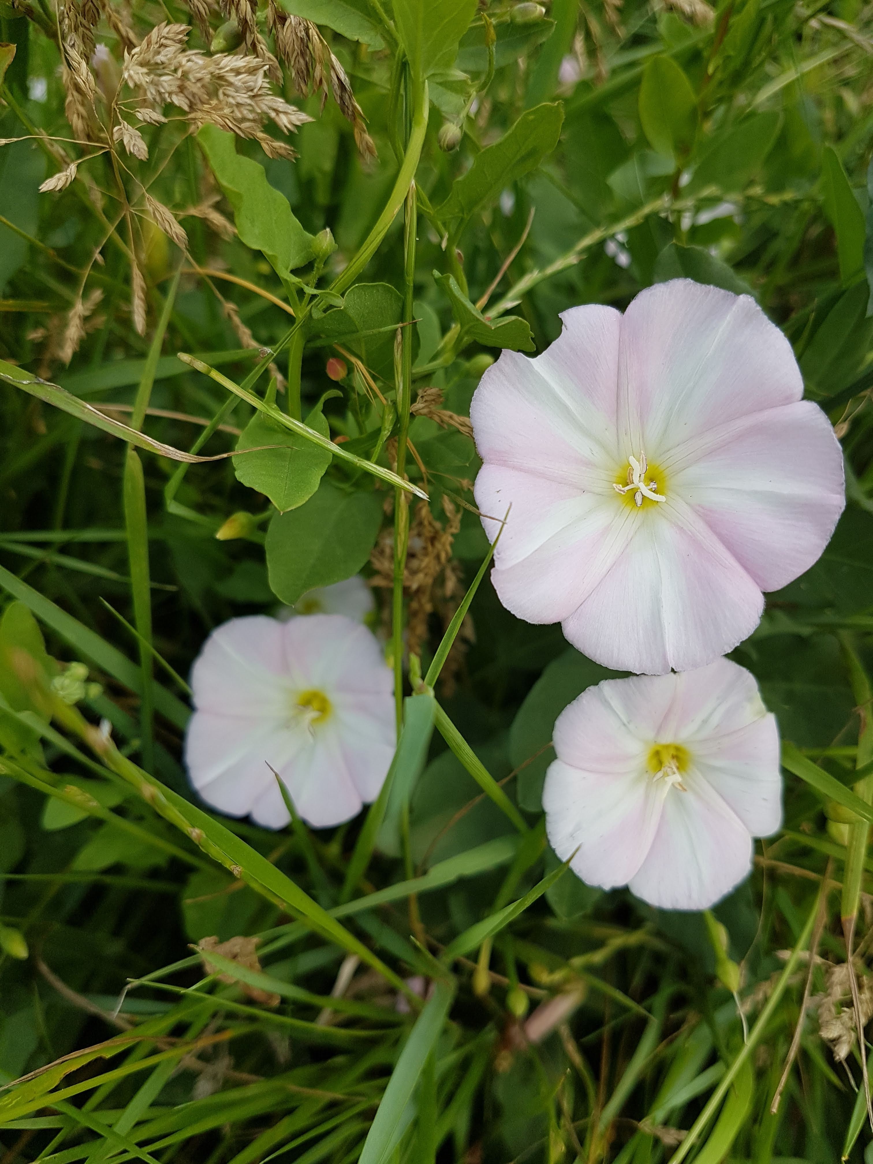 Photo n° 1 de l'avis de Amicie.e fait le 17/06/2020 à 14:41