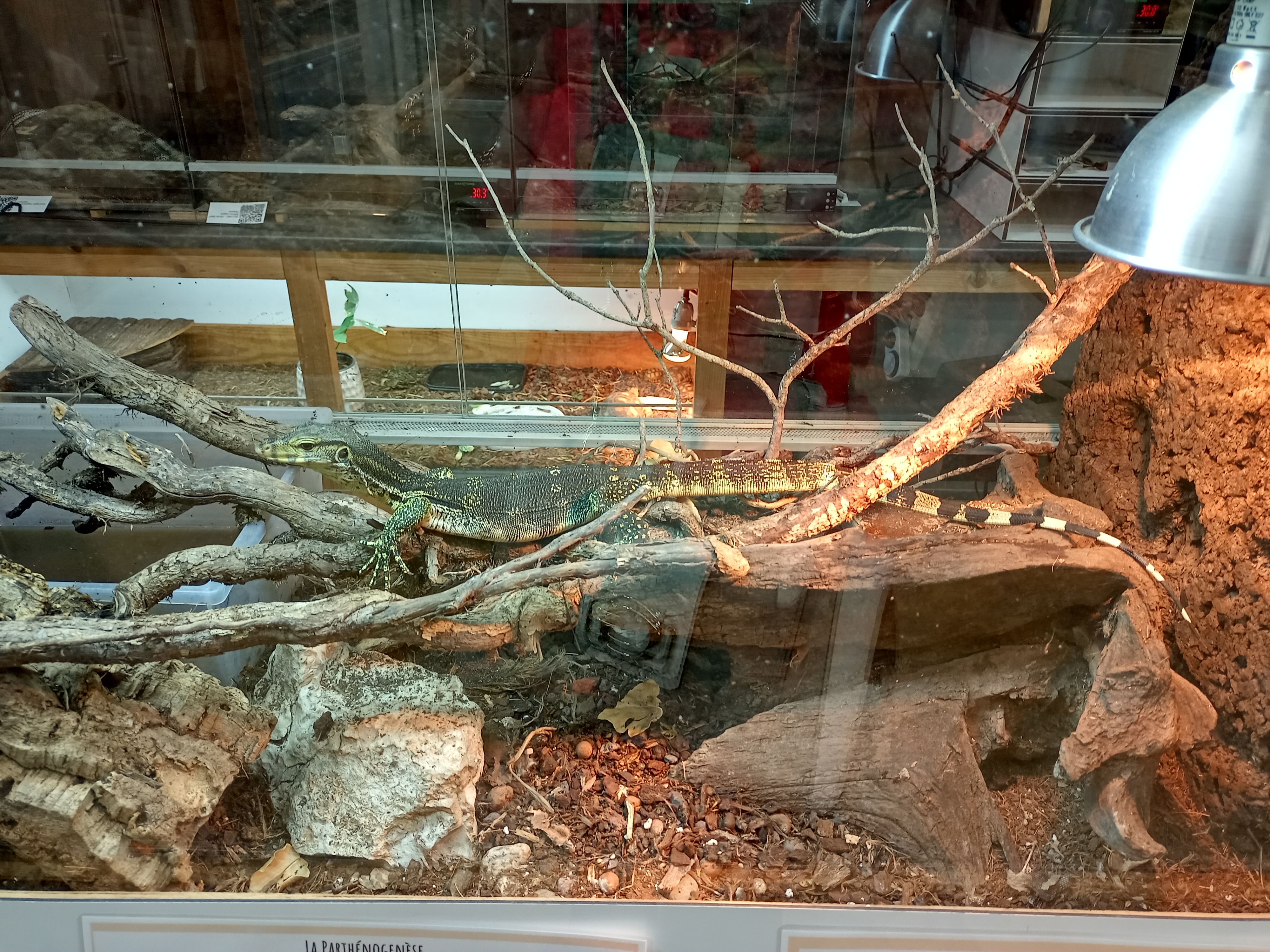 Photo n° 4 de l'avis de Céline. fait le 19/10/2022 à 19:46