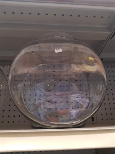 Tropical Fish Store «Petland Discounts - Ridgewood», reviews and photos, 55-52 Myrtle Ave, Queens, NY 11385, USA