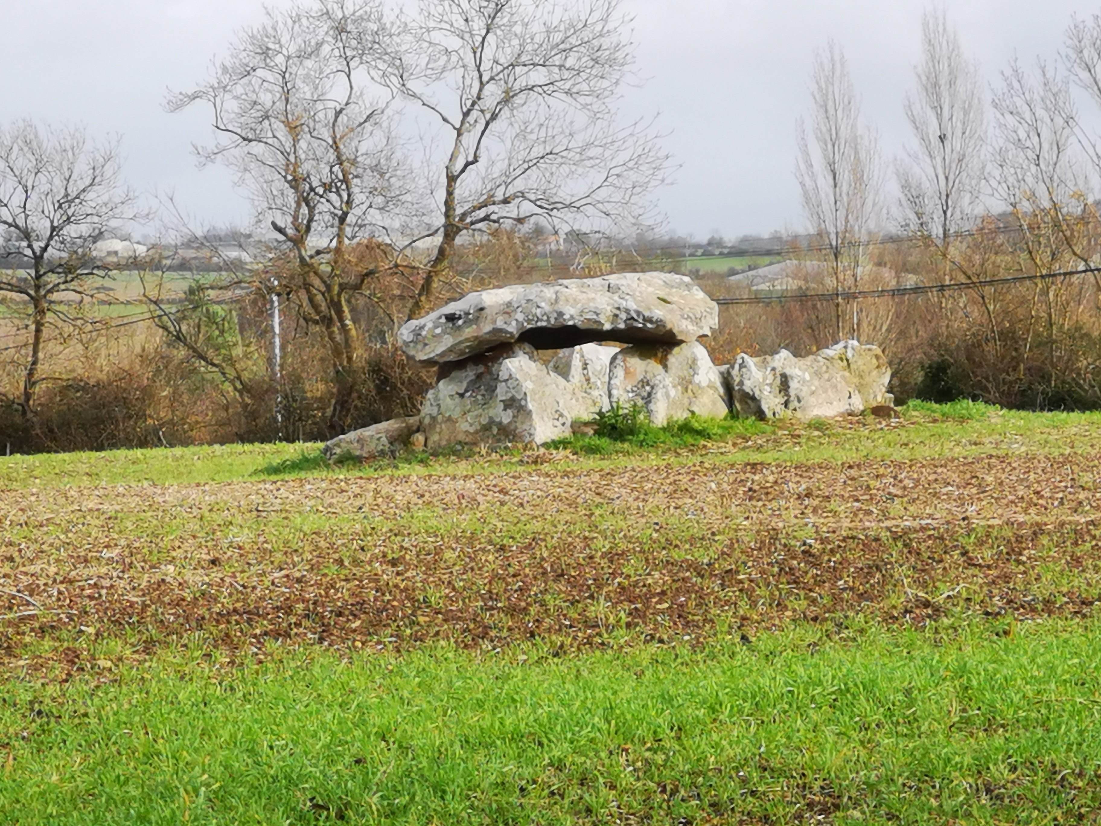 Photo n° 2 de l'avis de laurent.e fait le 23/12/2023 à 16:46